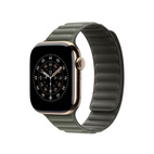 Apple Watch 42mm Magnetic Link Sage Gray - S/M
