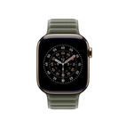 Apple Watch 42mm Magnetic Link Sage Gray - S/M