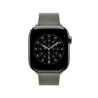 Apple Watch 42mm Modern Buckle Sage Gray - Large