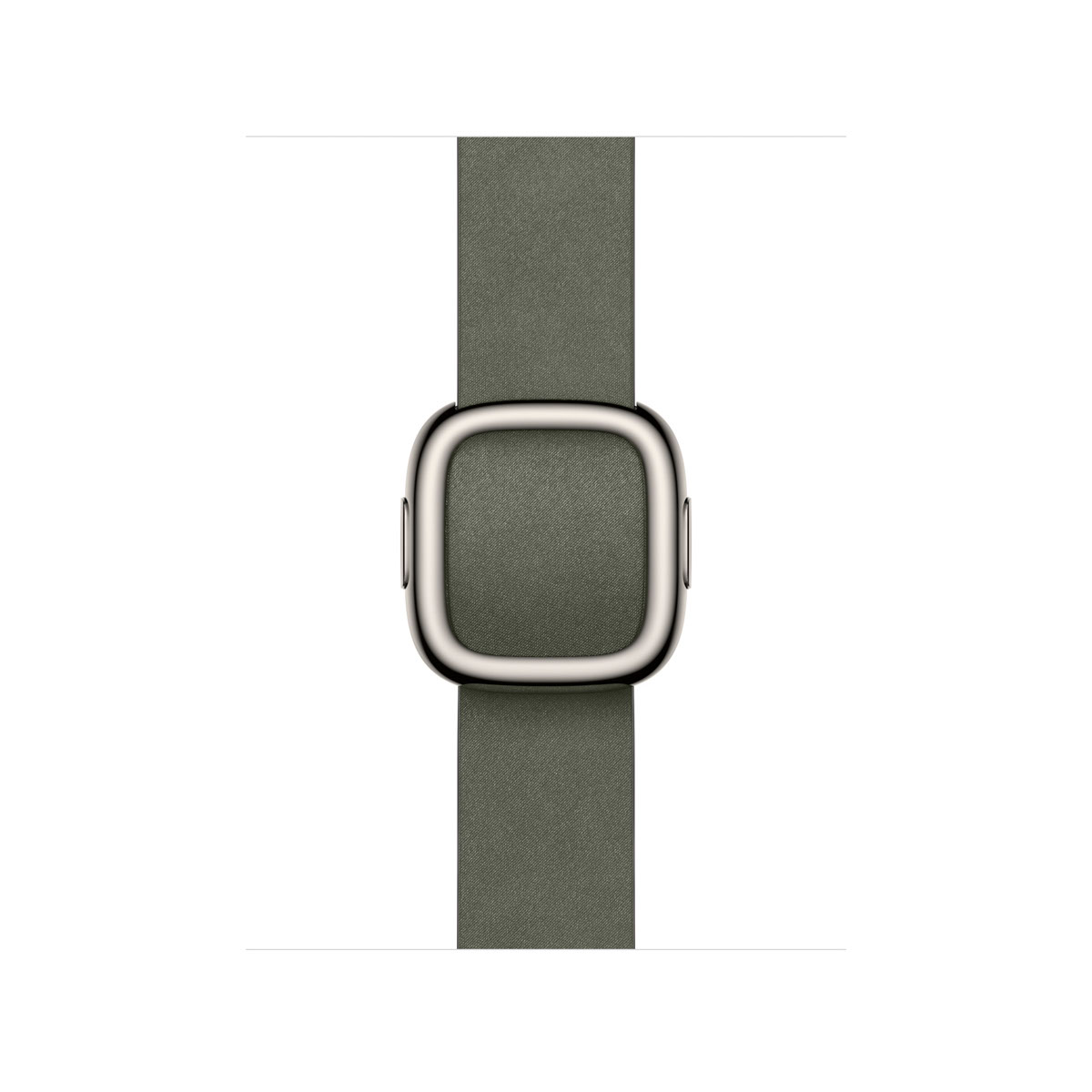 Apple Watch 42mm Modern Buckle Sage Gray - Large