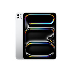 iPad Pro 11" w/Standard Glass (M5) 2TB WiFi+Cellular Silver