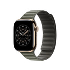 Apple Watch 42mm Magnetic Link Sage Gray - S/M