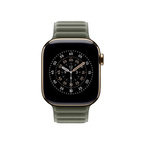 Apple Watch 42mm Magnetic Link Sage Gray - S/M