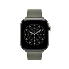 Apple Watch 42mm Modern Buckle Sage Gray - Large