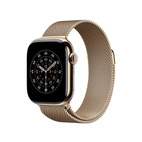 Apple Watch 40mm Milanese Loop Gold