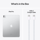 iPad Pro 13" w/Standard Glass (M4) 2TB WiFi Silver