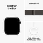 Apple Watch Series 10 Titanium with Milanese Loop