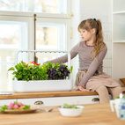 Click and Grow Smart Garden 9 Start kit White