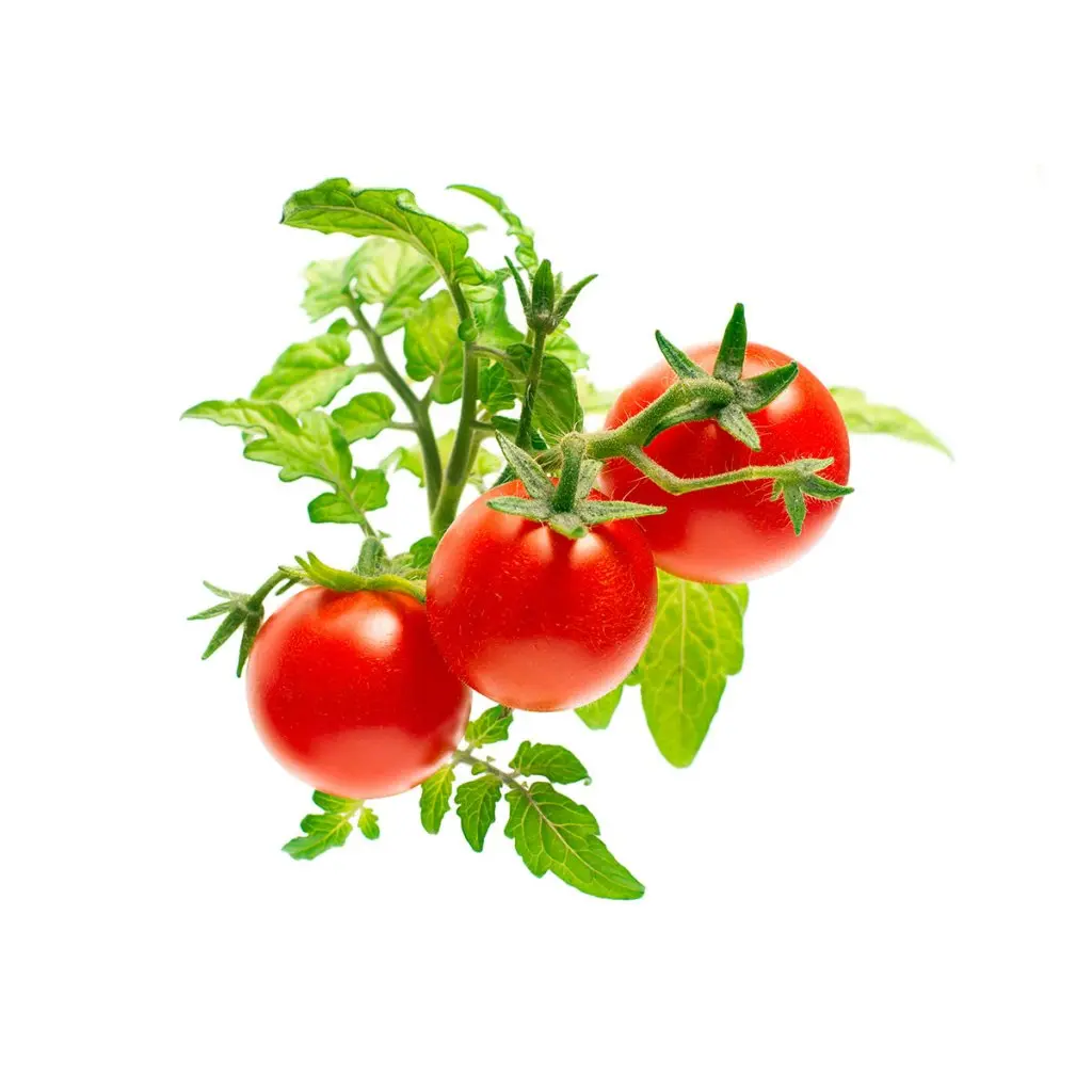 Click and Grow Smart Garden Refill 3-pack - Mini Tomatoes