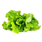Click and Grow Smart Garden Refill 3-pack - Green Lettuce