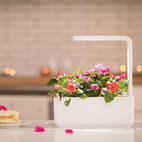 Click and Grow Smart Garden 3 Start kit White