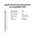 Apple Pencil (1st Gen) (USB-C)