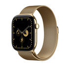 46mm Radiant Gold Milanese Loop - S/M