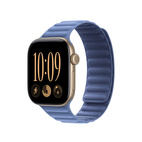 42mm Wildflower Blue Magnetic Link - S/M