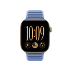 42mm Wildflower Blue Magnetic Link - S/M