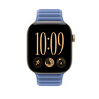 46mm Wildflower Blue Magnetic Link - S/M