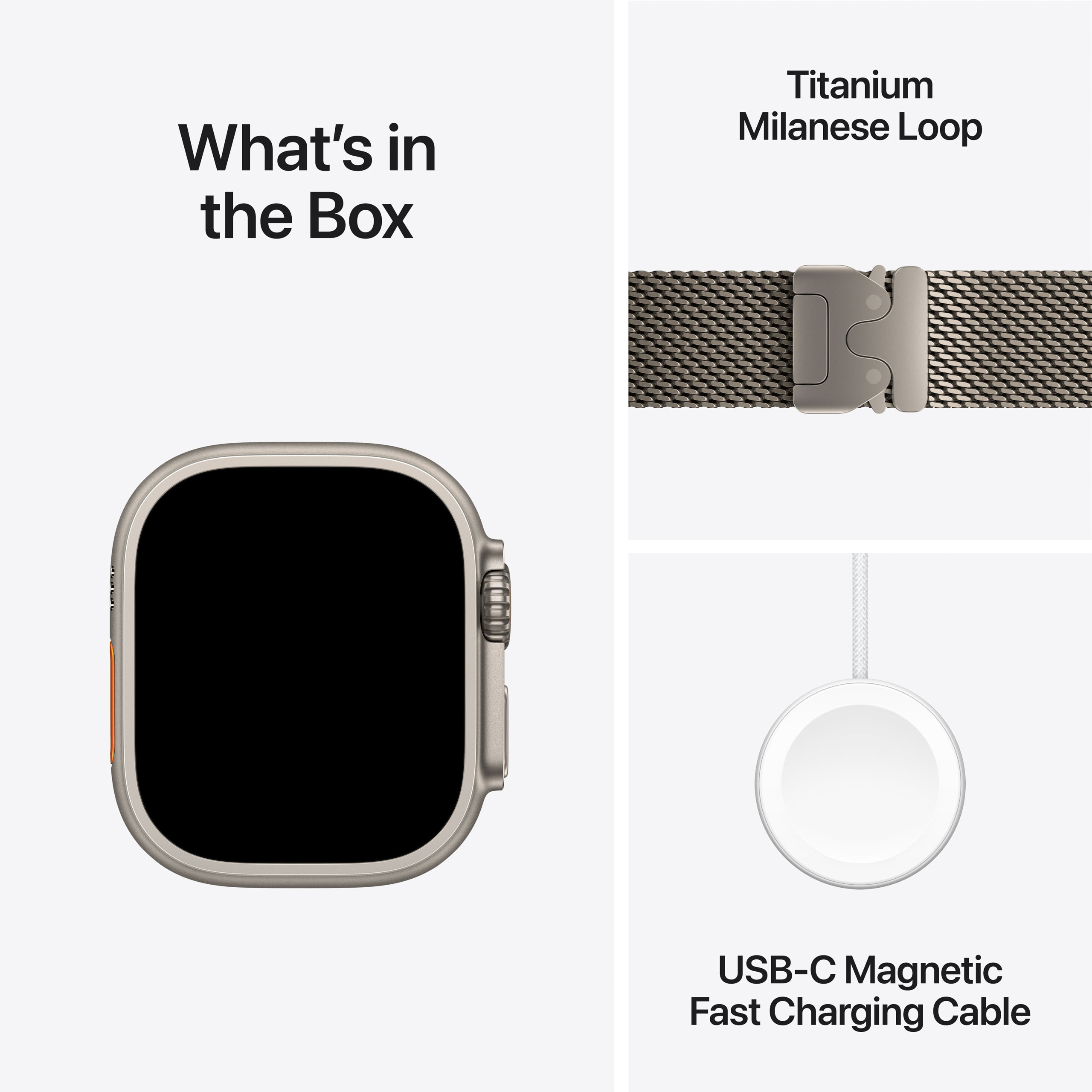 Apple Watch Ultra 2 GPS + Cellular 49mm Natural Titanium - Natural Titanium Milanese Loop - Large