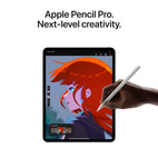 iPad Pro 11" w/Standard Glass 2024 (M4) 256GB WiFi Silver