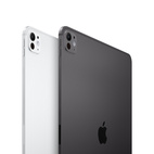 iPad Pro 11" w/Standard Glass 2024 (M4) 256GB WiFi Silver