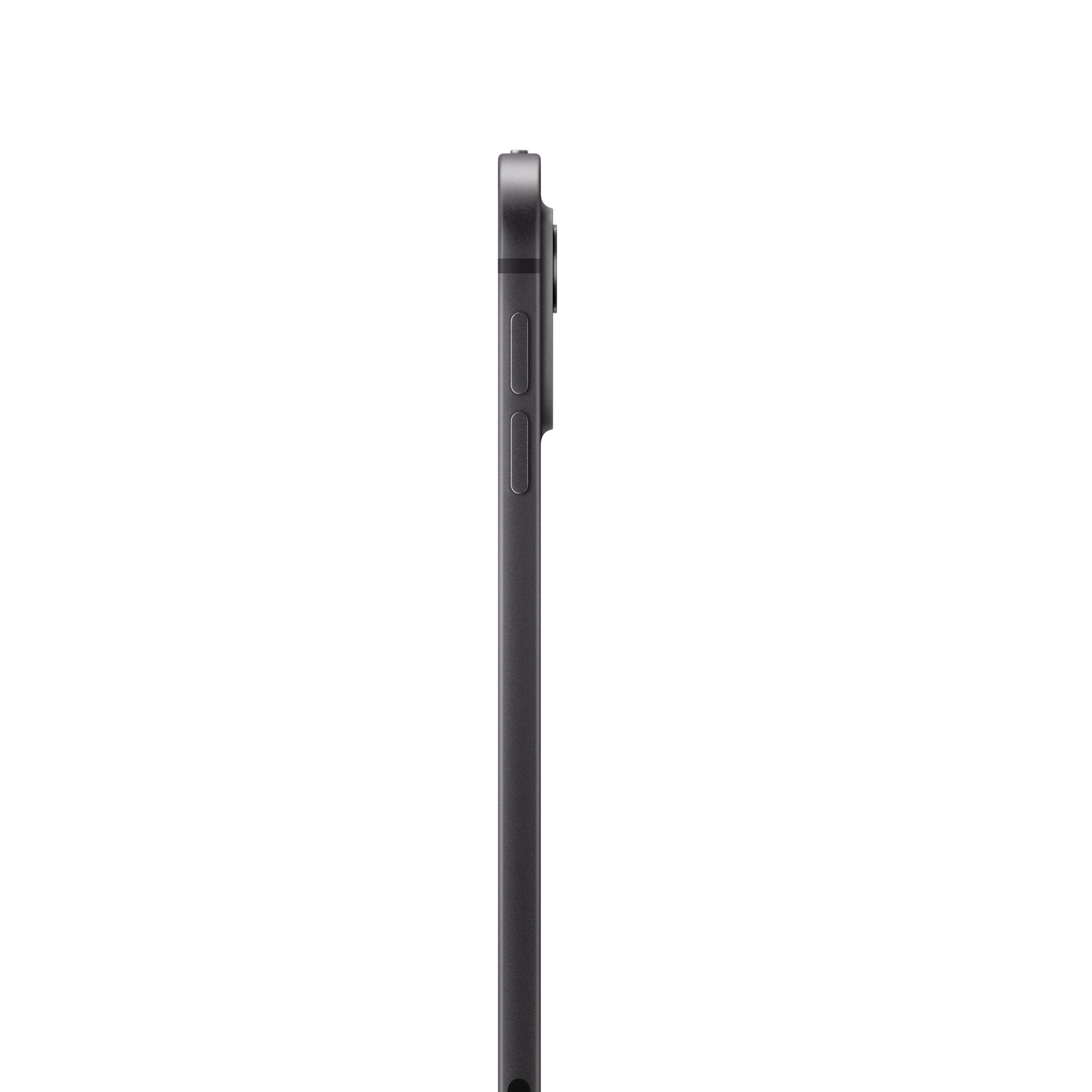 iPad Pro 11" w/Standard Glass 2024 (M4) 1TB WiFi Space Black