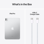 iPad Pro 11" w/Nano-texture Glass 2024 (M4) 1TB WiFi+Cellular Silver