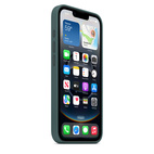 Apple iPhone 16e Silicone Case - Lake Green