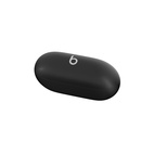 Beats Solo Buds True Wireless Earphones Matte Black