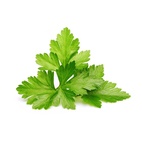 Click and Grow Smart Garden Refill 3-pack - Coriander